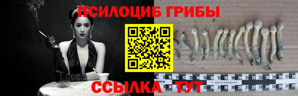 Галлюциногенные грибы Cubensis  Галлюциногенные грибы мухоморы  Лыткарино  Вход с VPN 